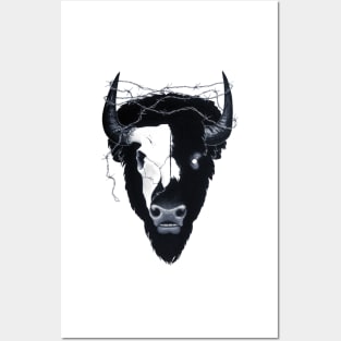 Dead Eyes Buffalo Skull Art Posters and Art